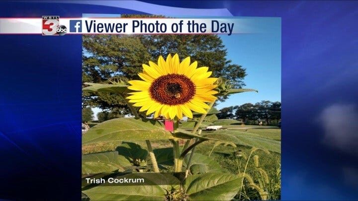 Viewer photos of the day: July 24, 2019